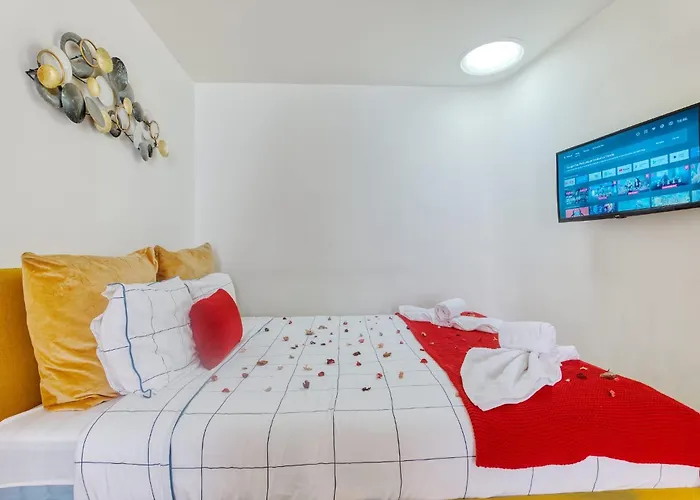 New Flat And Apartment